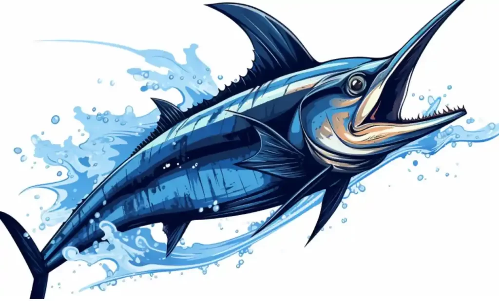marlin-fish-habits-conservation