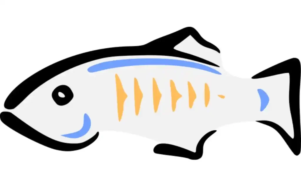 glassfish-species-beauty