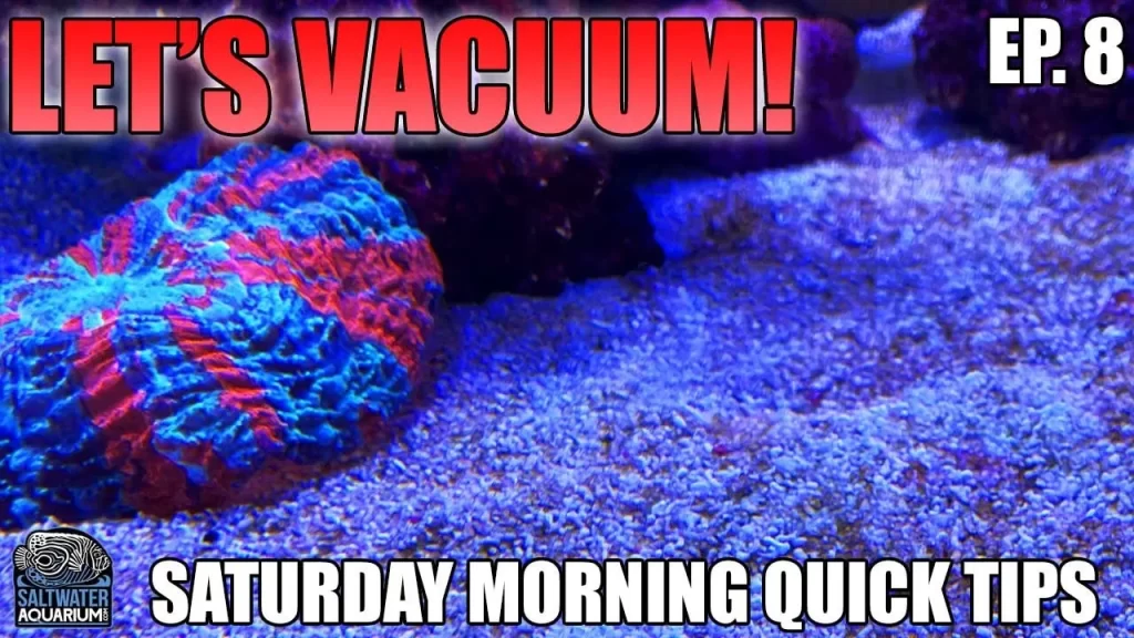 Vacuuming-Techniques