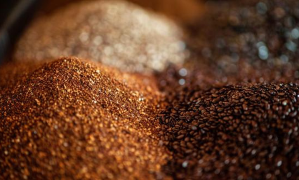 Best Aquarium Plant Substrate Choices 2023